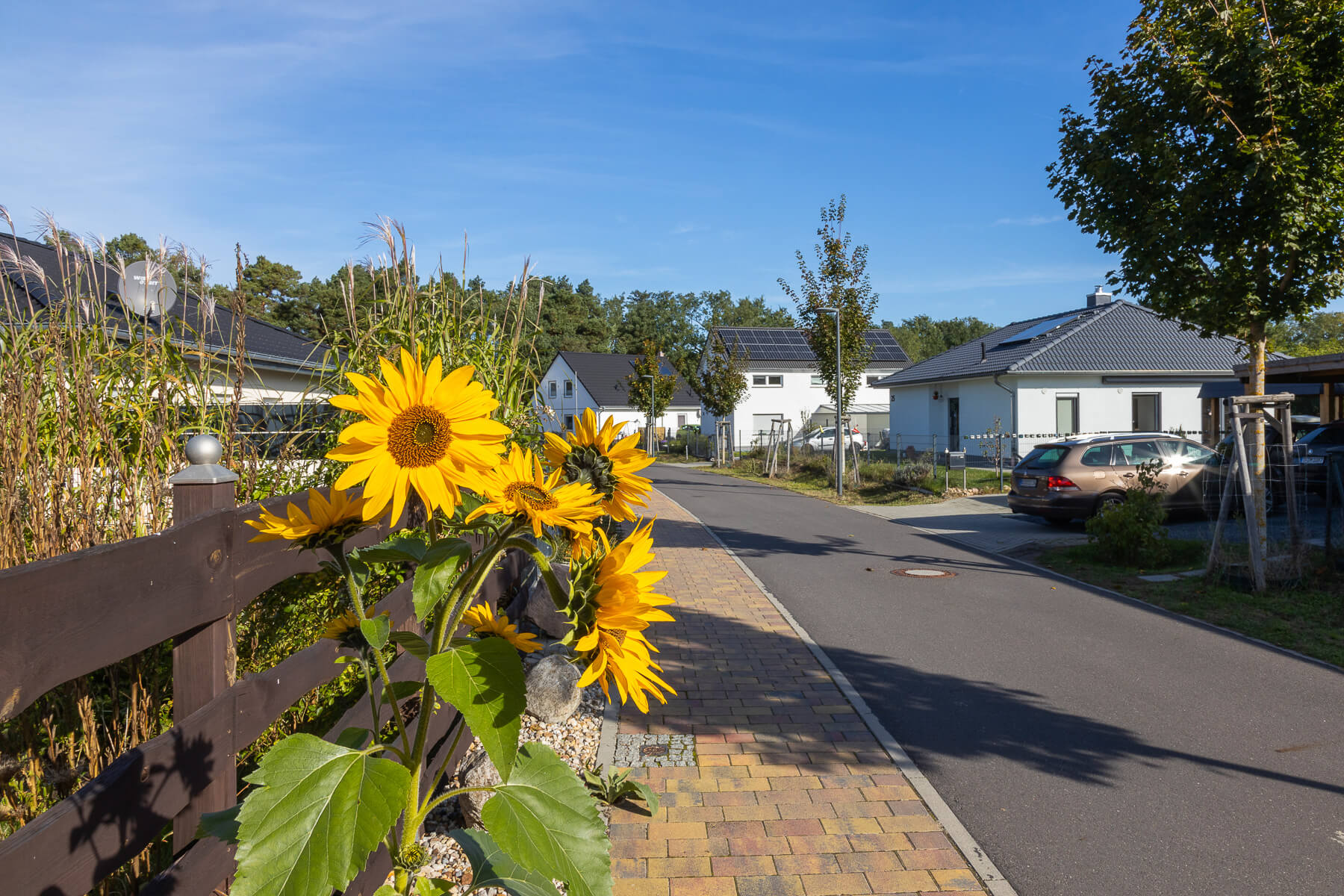 Wohnen in Wünsdorf, Oktober 2024 – Bild 6